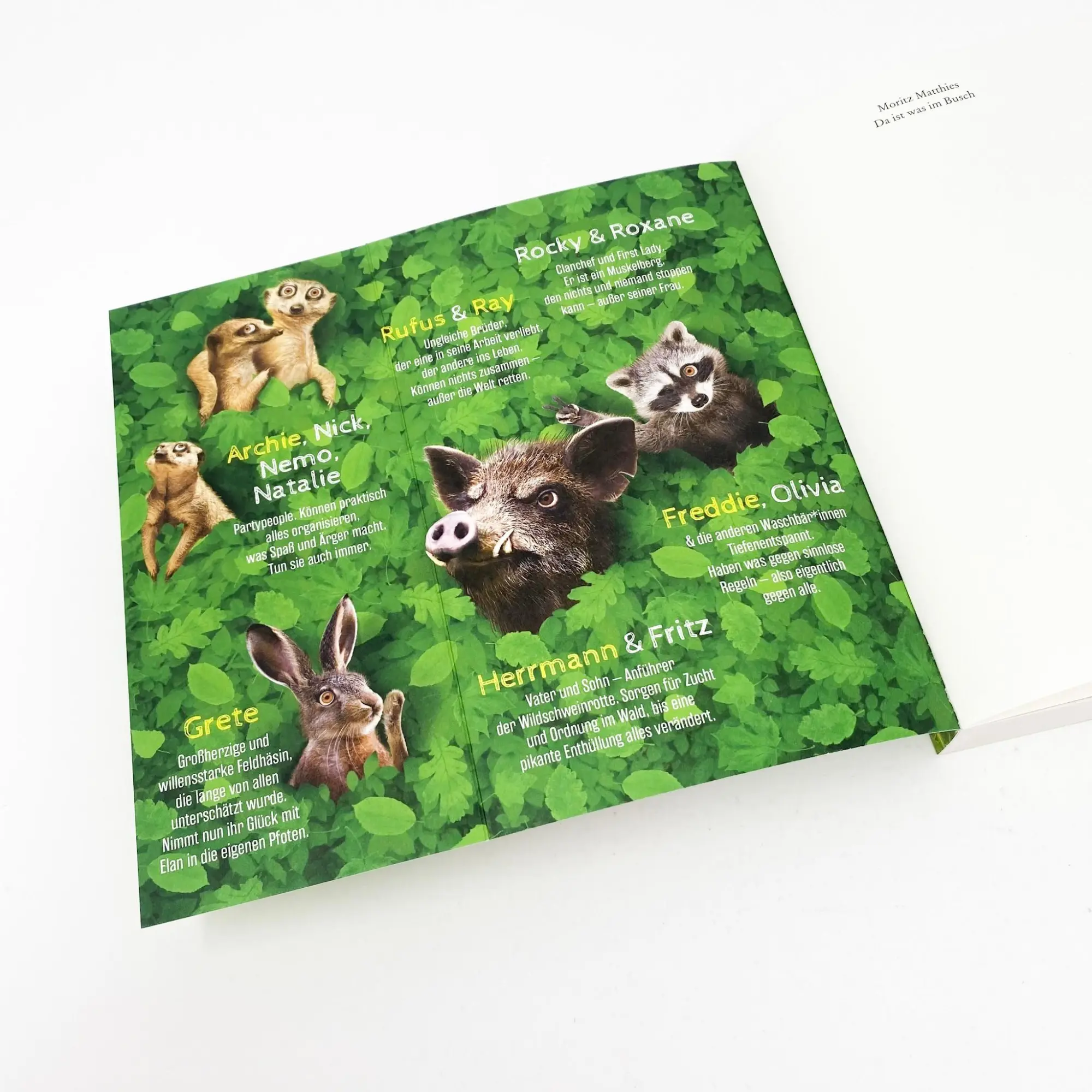 Bild: 9783423220057 | Da ist was im Busch | Roman | Moritz Matthies | Taschenbuch | 336 S.