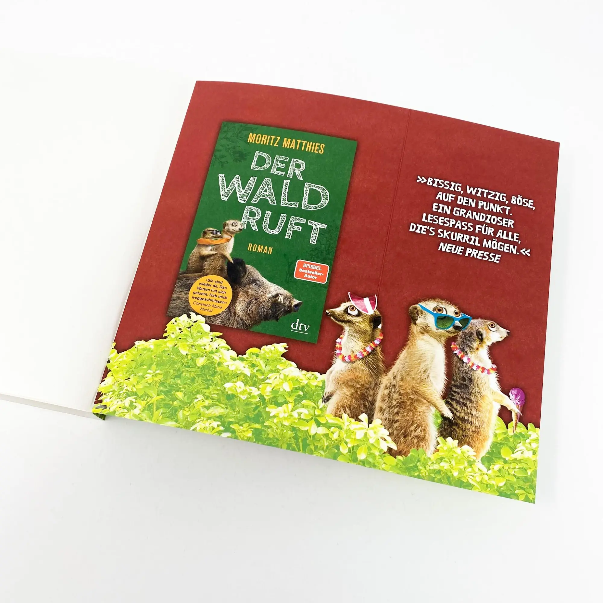 Bild: 9783423220057 | Da ist was im Busch | Roman | Moritz Matthies | Taschenbuch | 336 S.