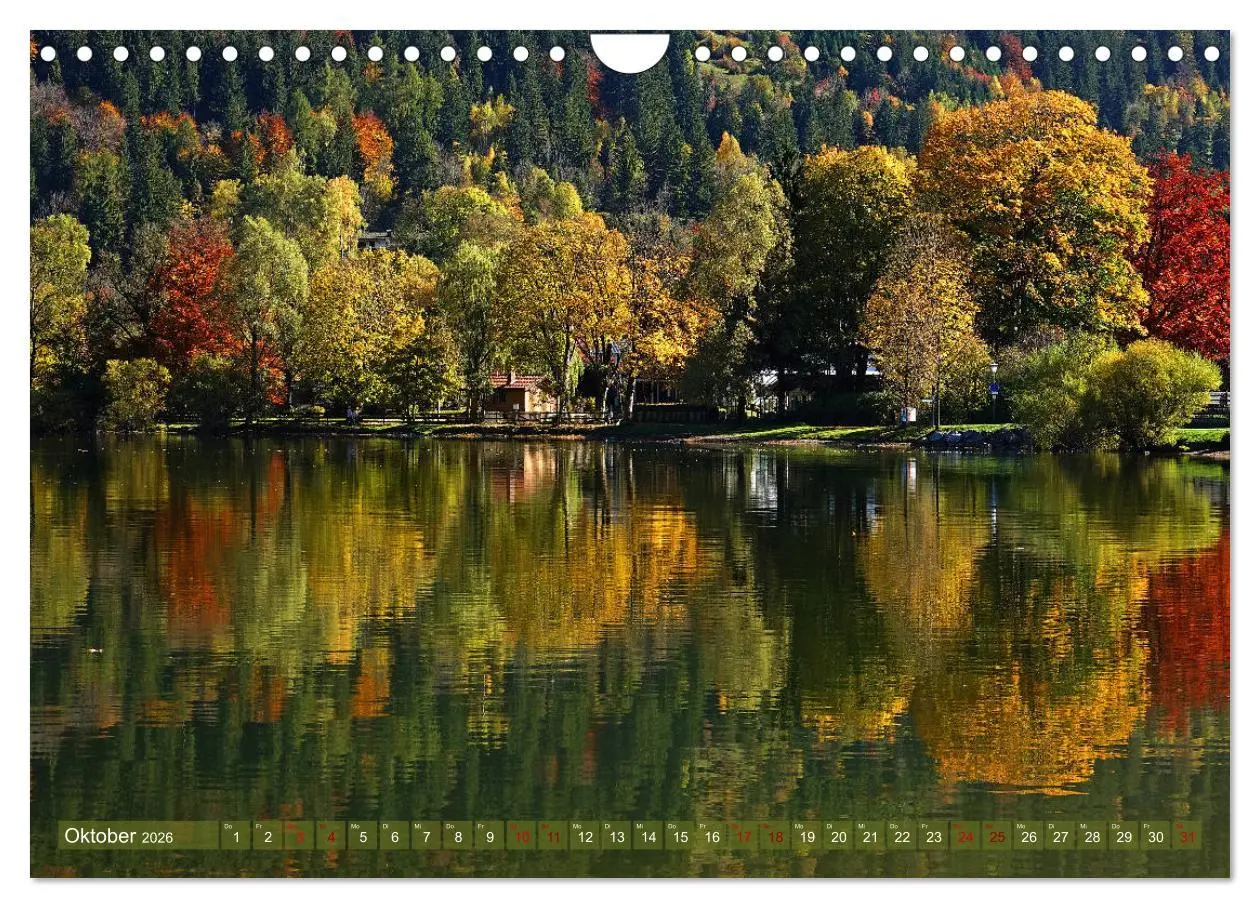 Bild: 9783457810057 | Mit Bäumen durchs Jahr (Wandkalender 2026 DIN A4 quer), CALVENDO...