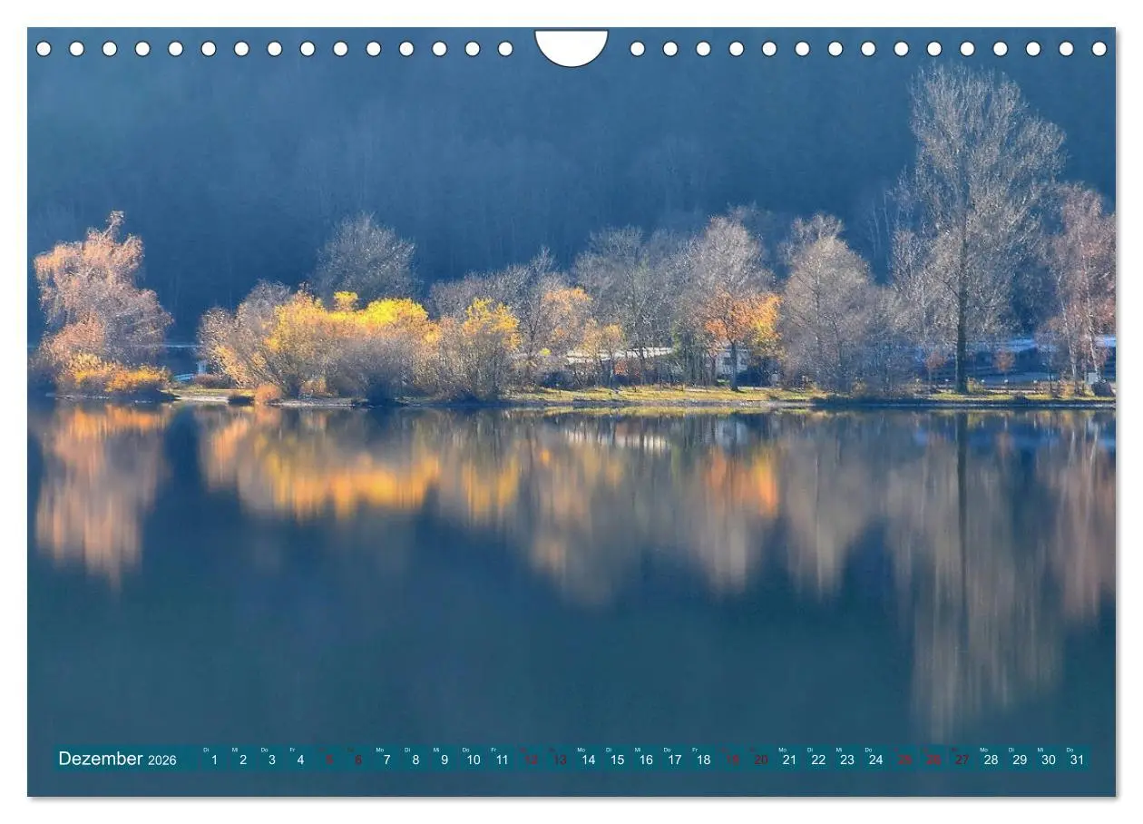 Bild: 9783457810057 | Mit Bäumen durchs Jahr (Wandkalender 2026 DIN A4 quer), CALVENDO...