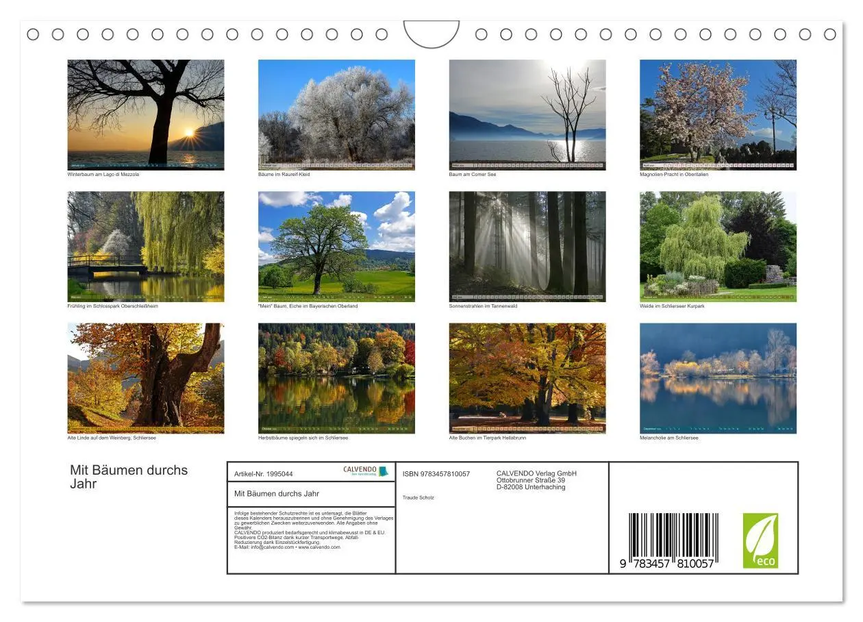 Bild: 9783457810057 | Mit Bäumen durchs Jahr (Wandkalender 2026 DIN A4 quer), CALVENDO...