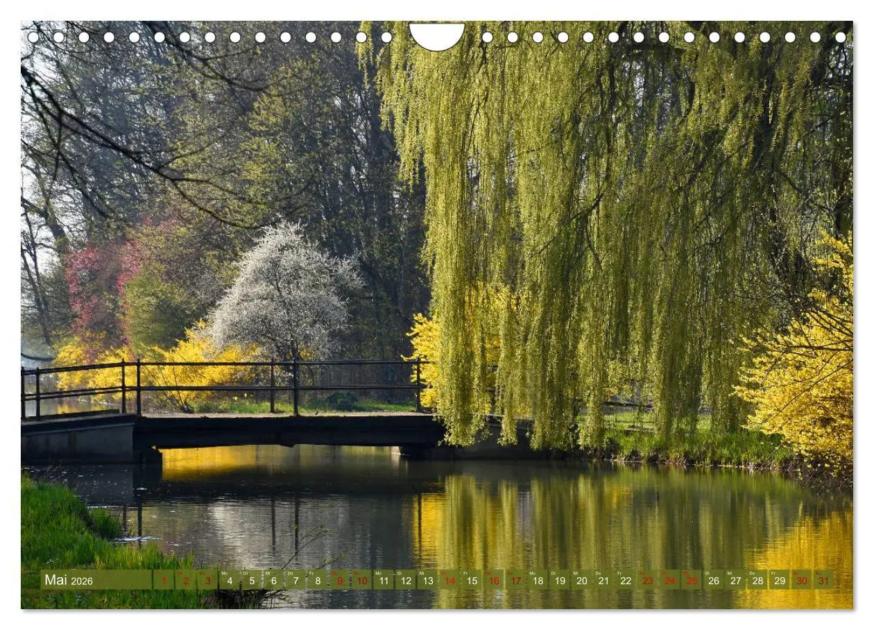 Bild: 9783457810057 | Mit Bäumen durchs Jahr (Wandkalender 2026 DIN A4 quer), CALVENDO...