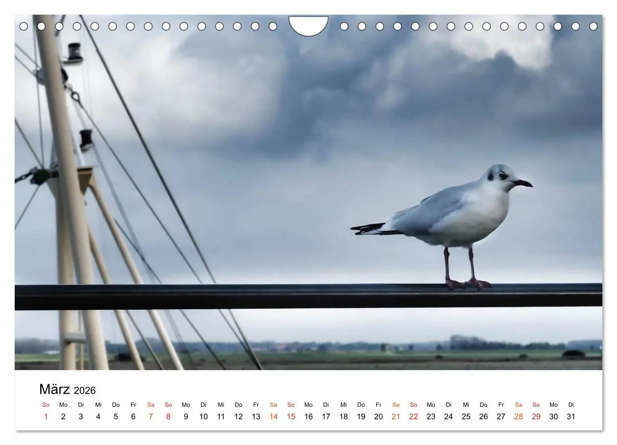 Bild: 9783457980057 | Wieder an der Nordsee (Wandkalender 2026 DIN A4 quer), CALVENDO...