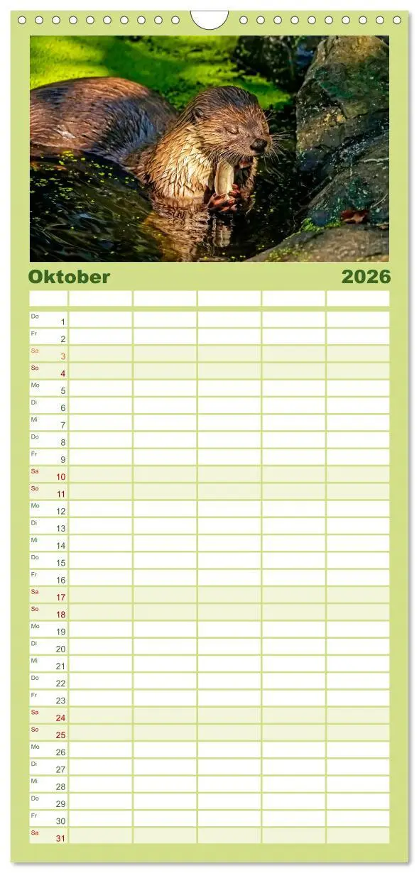 Bild: 9783516520057 | Familienplaner 2026 - Fischotter - putzige Kerlchen und elegante...
