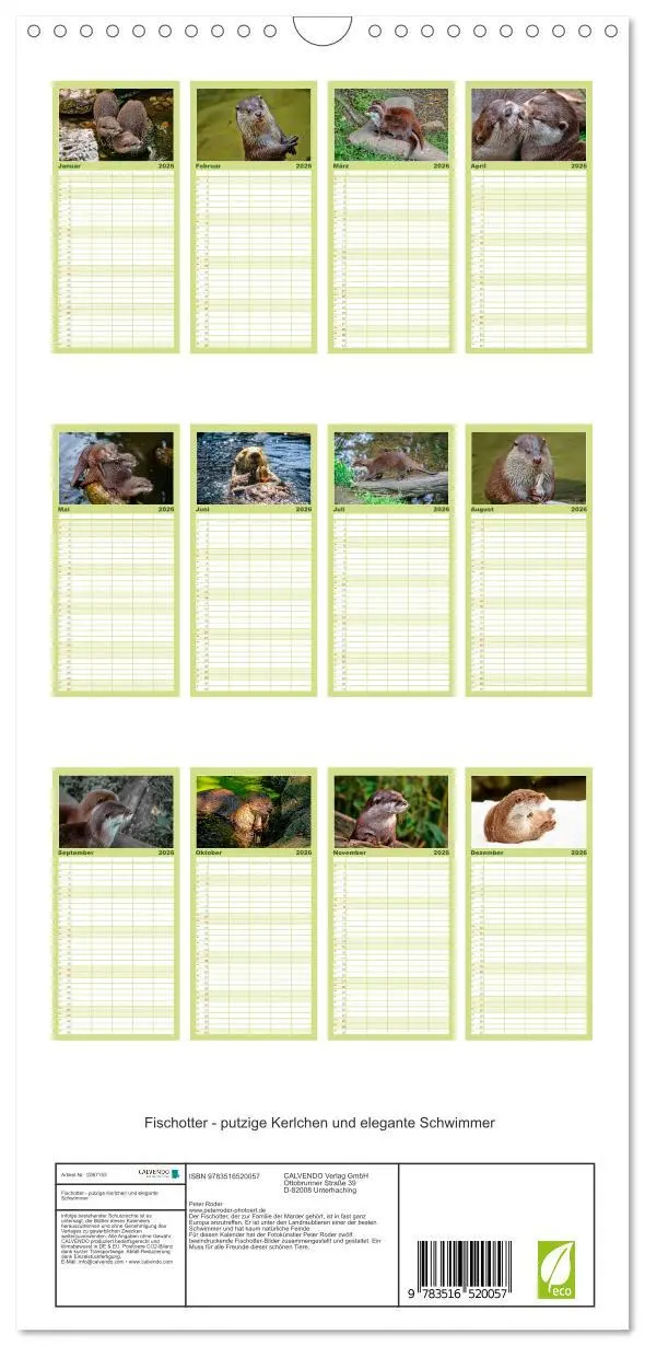Bild: 9783516520057 | Familienplaner 2026 - Fischotter - putzige Kerlchen und elegante...