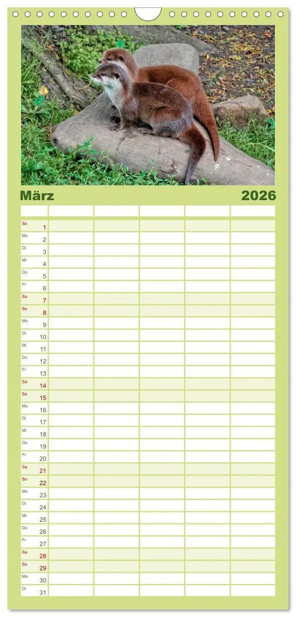 Bild: 9783516520057 | Familienplaner 2026 - Fischotter - putzige Kerlchen und elegante...
