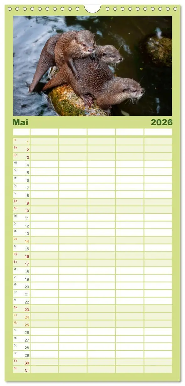 Bild: 9783516520057 | Familienplaner 2026 - Fischotter - putzige Kerlchen und elegante...