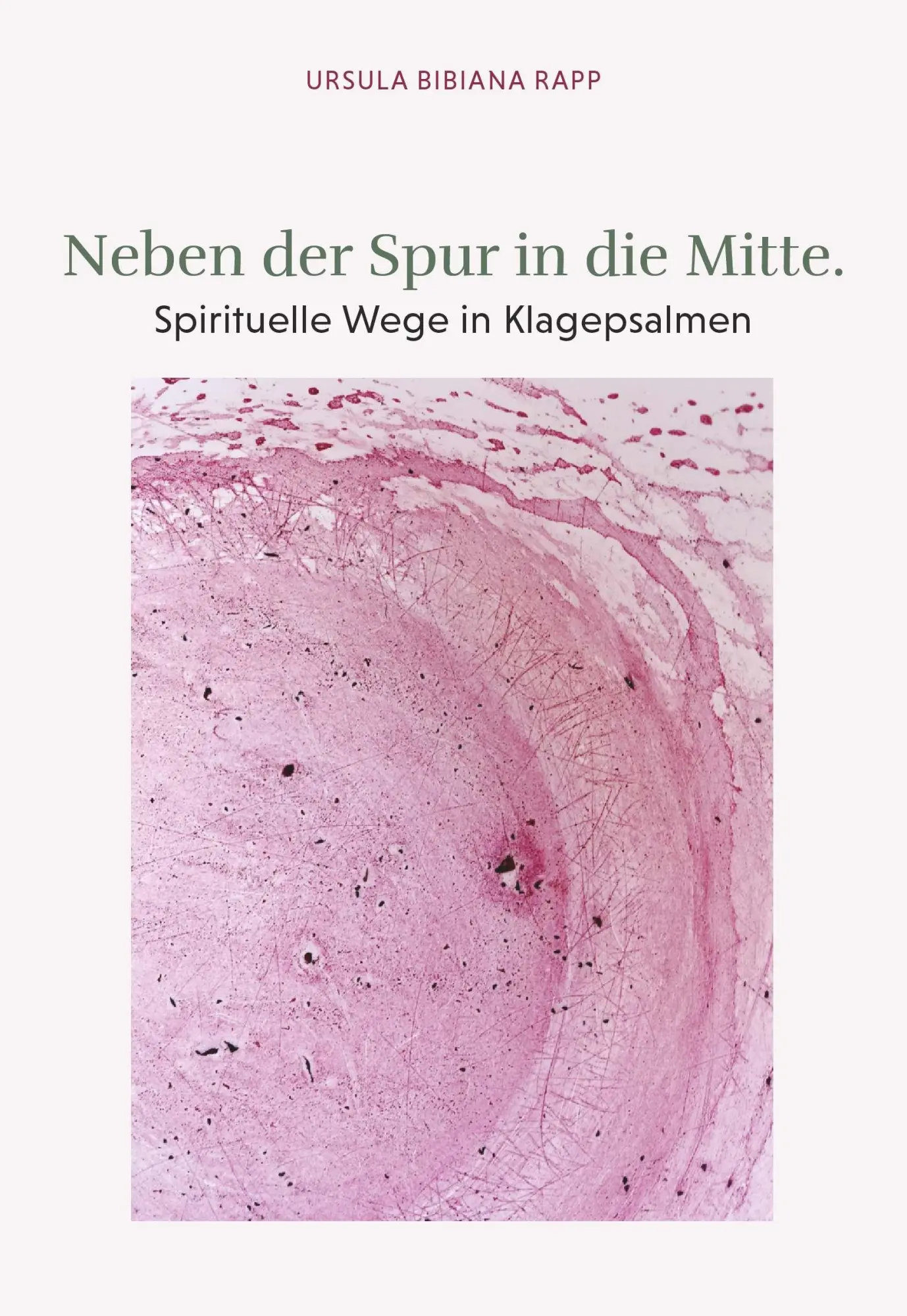 Cover: 9783991650157 | Neben der Spur in die Mitte | Spirituelle Wege in Klagepsalmen | Rapp