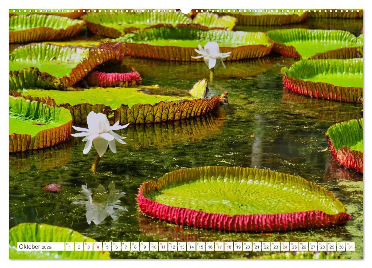 Bild: 9783457270257 | Mauritius - Schönheit im Indischen Ozean (Wandkalender 2026 DIN A2...