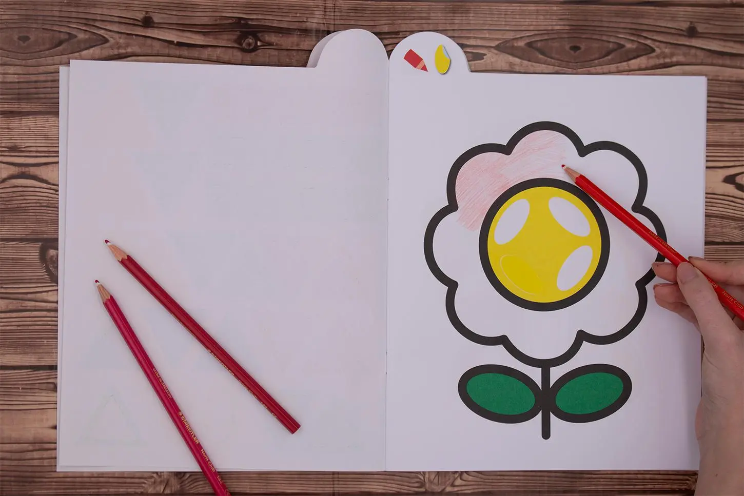 Bild: 9783743210257 | Mein allererstes Ausmalbuch mit Stickern (Eule) | Loewe Kreativ | Buch