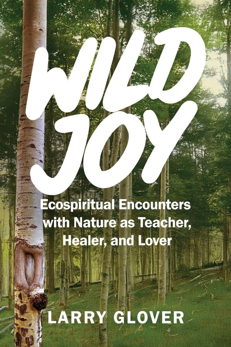 Cover: 9798992050257 | Wild Joy | Larry Glover | Taschenbuch | Englisch | 2025 | Seshat Press