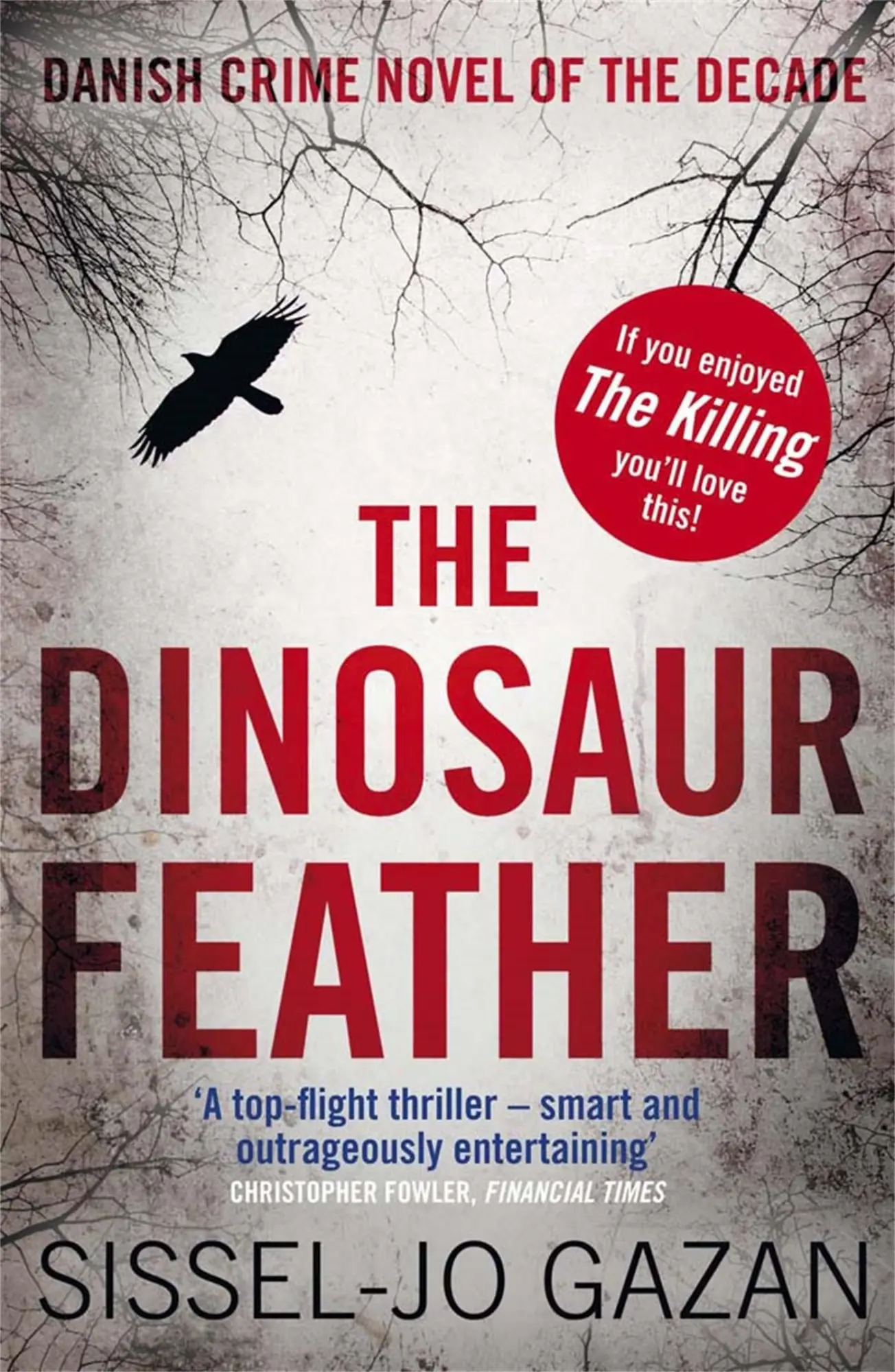 Cover: 9780857380357 | The Dinosaur Feather | Sissel-Jo Gazan | Taschenbuch | Englisch | 2012