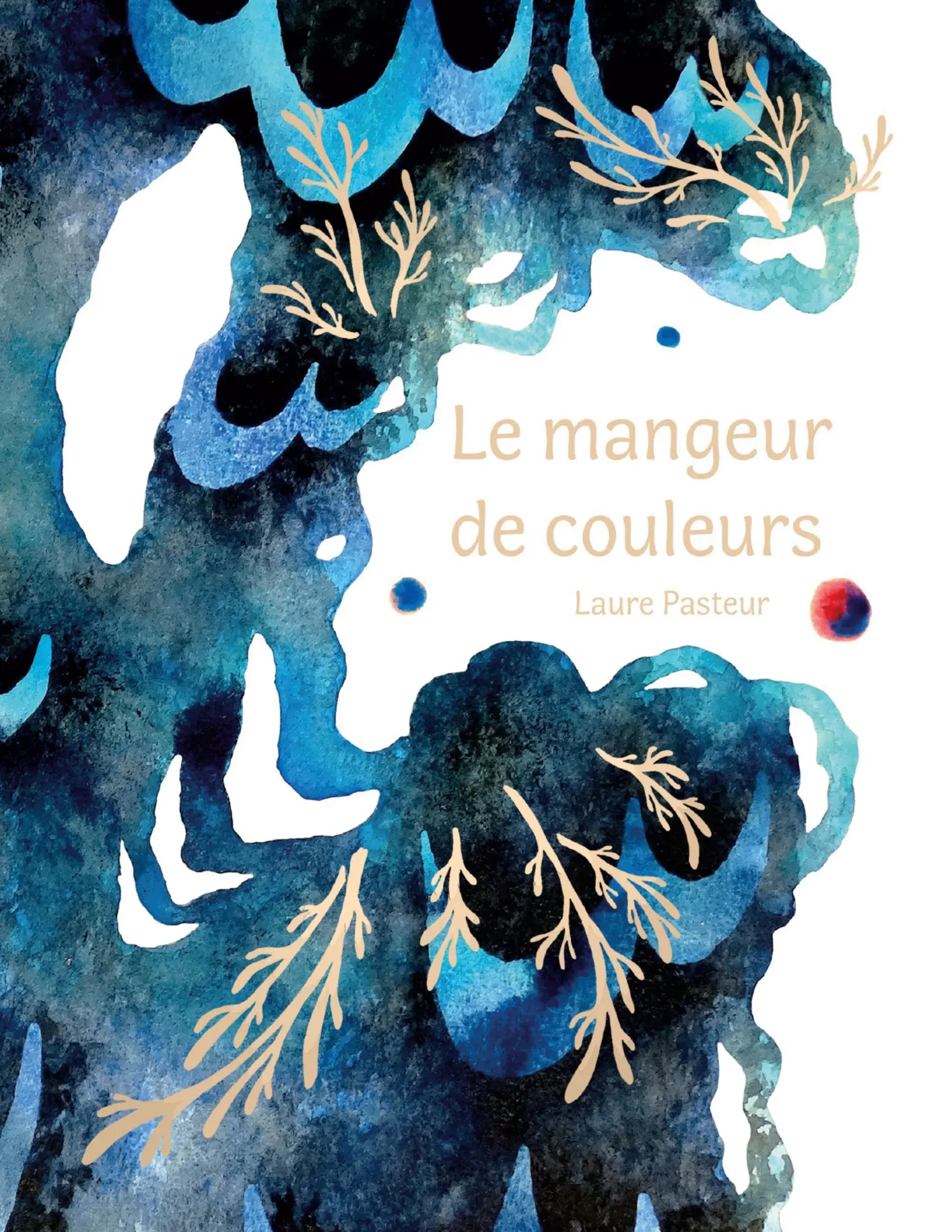 Le mangeur de couleurs (reliure agrafée)