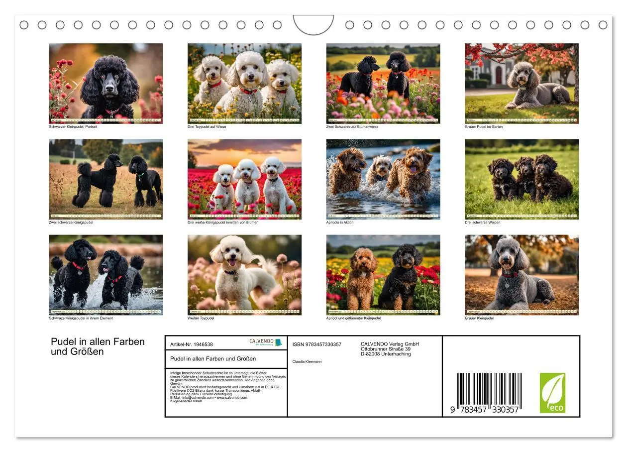 Bild: 9783457330357 | Pudel in allen Farben und Größen (Wandkalender 2026 DIN A4 quer),...