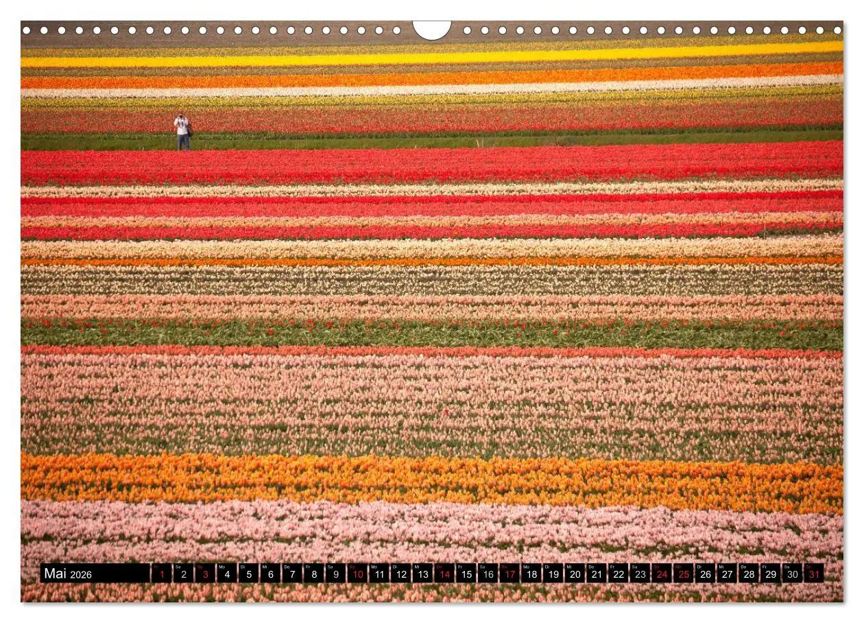 Bild: 9783516110357 | Niederlande - Un-Typisches aus Holland (Wandkalender 2026 DIN A3...