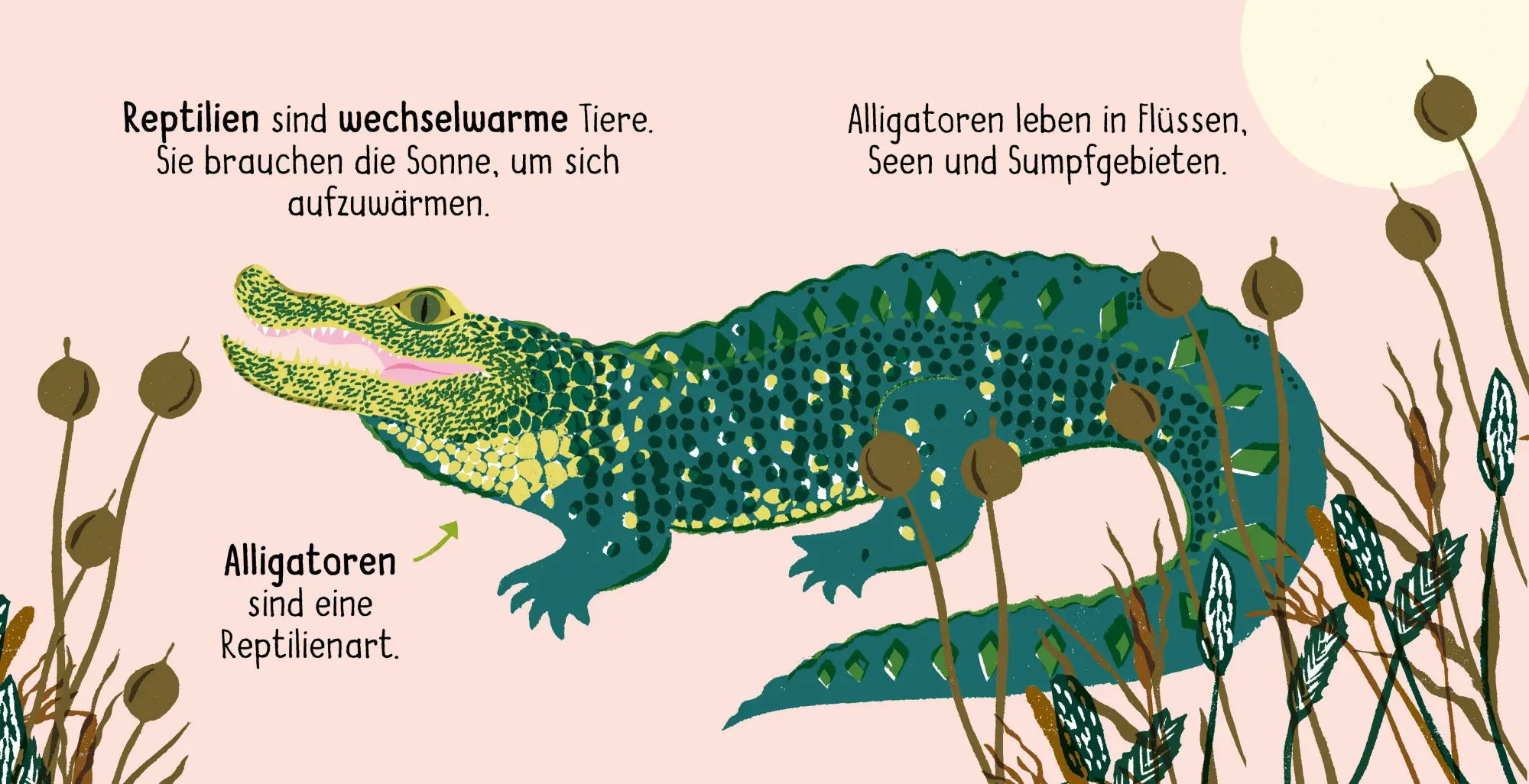 Bild: 9783411780457 | 50 Wörter über die Natur - Tiere | Lily Holland | Buch | 32 S. | 2024