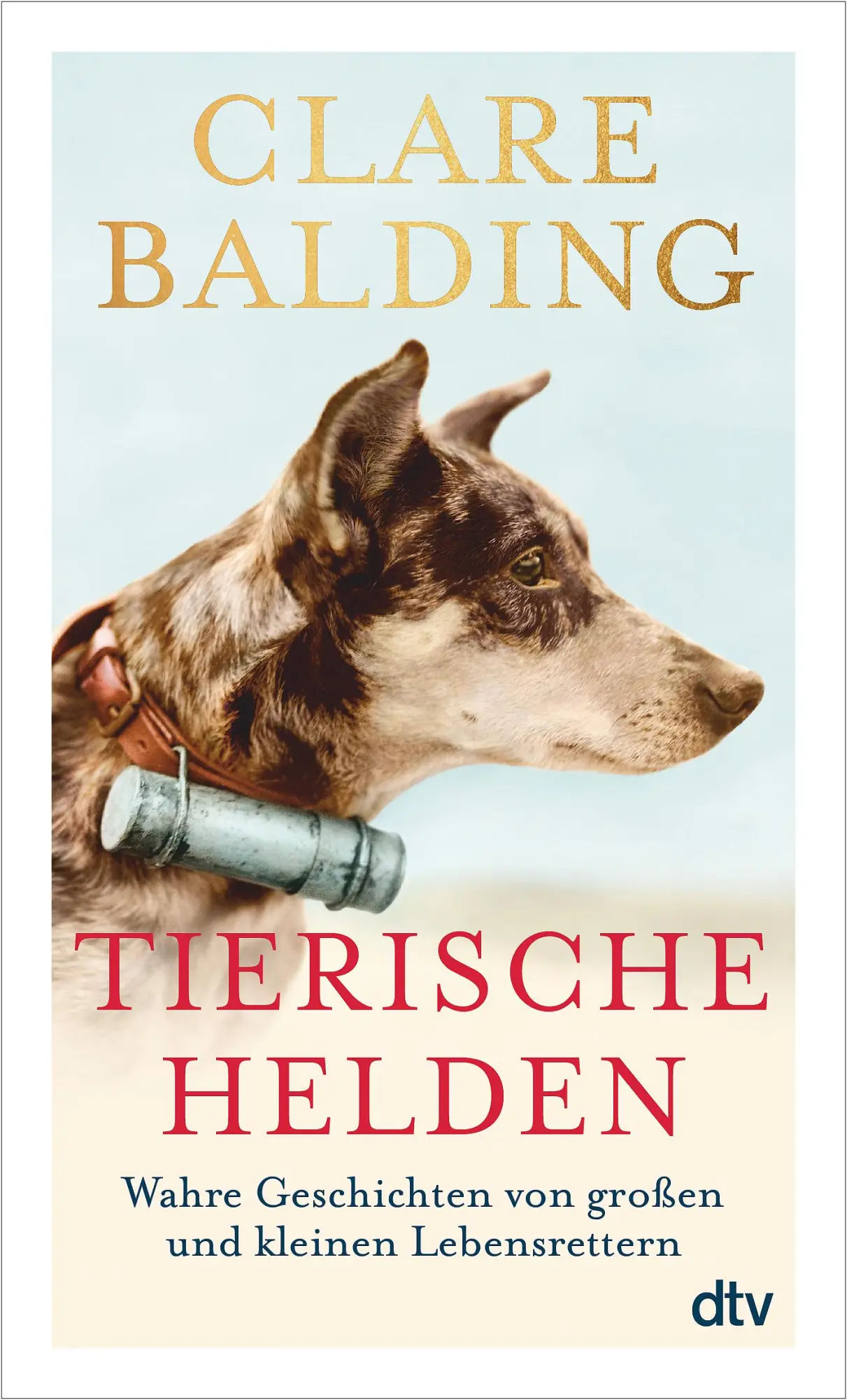 Cover: 9783423350457 | Tierische Helden | Clare Balding | Taschenbuch | 272 S. | Deutsch
