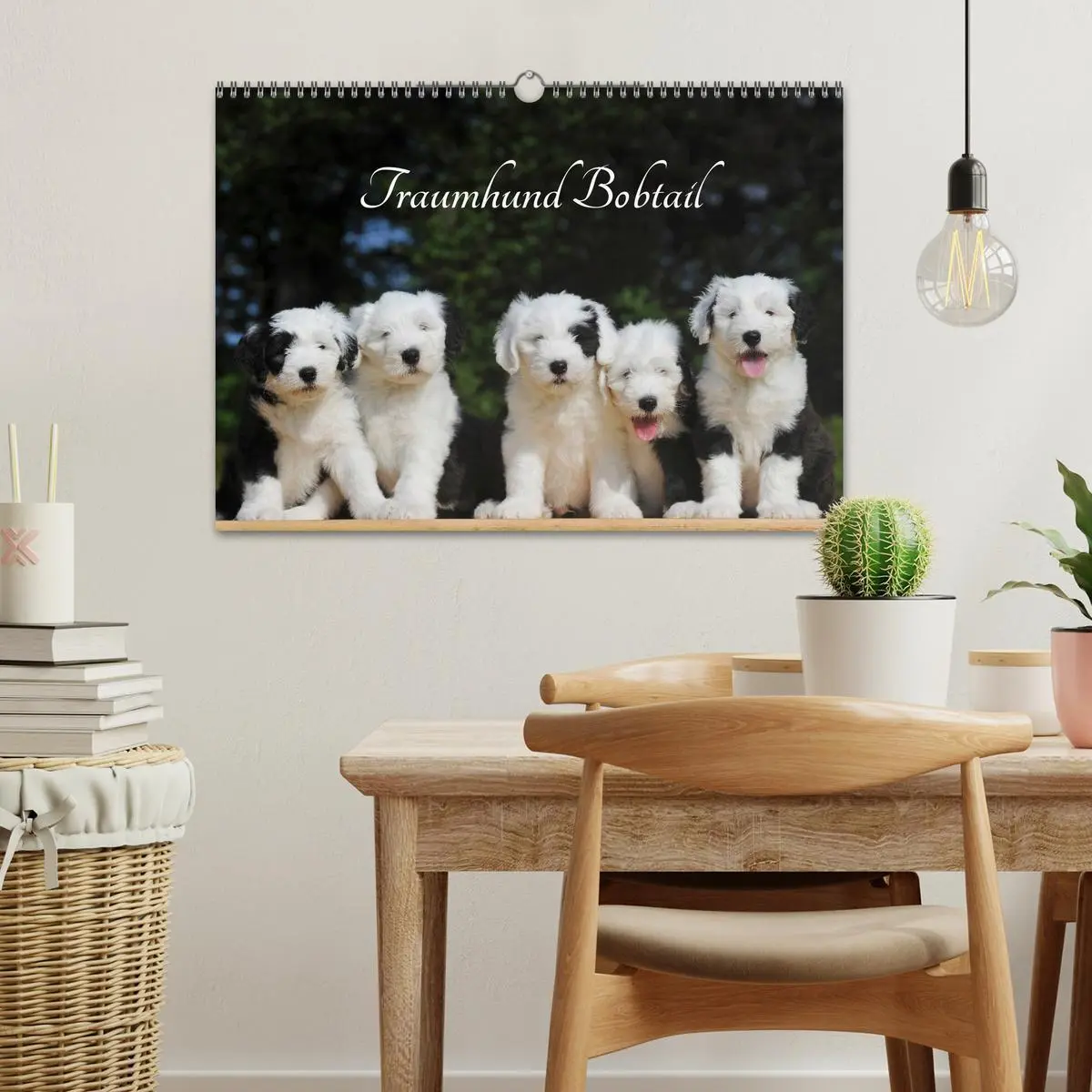 Bild: 9783516030457 | Traumhund Bobtail (Wandkalender 2026 DIN A3 quer), CALVENDO...
