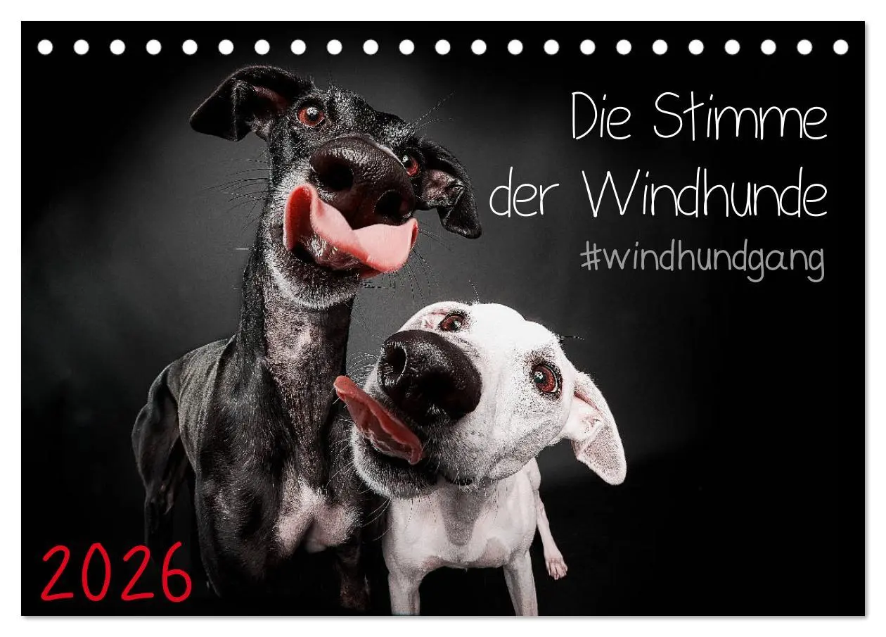 Cover: 9783457790557 | Die Stimme der Windhunde (Tischkalender 2026 DIN A5 quer), CALVENDO...