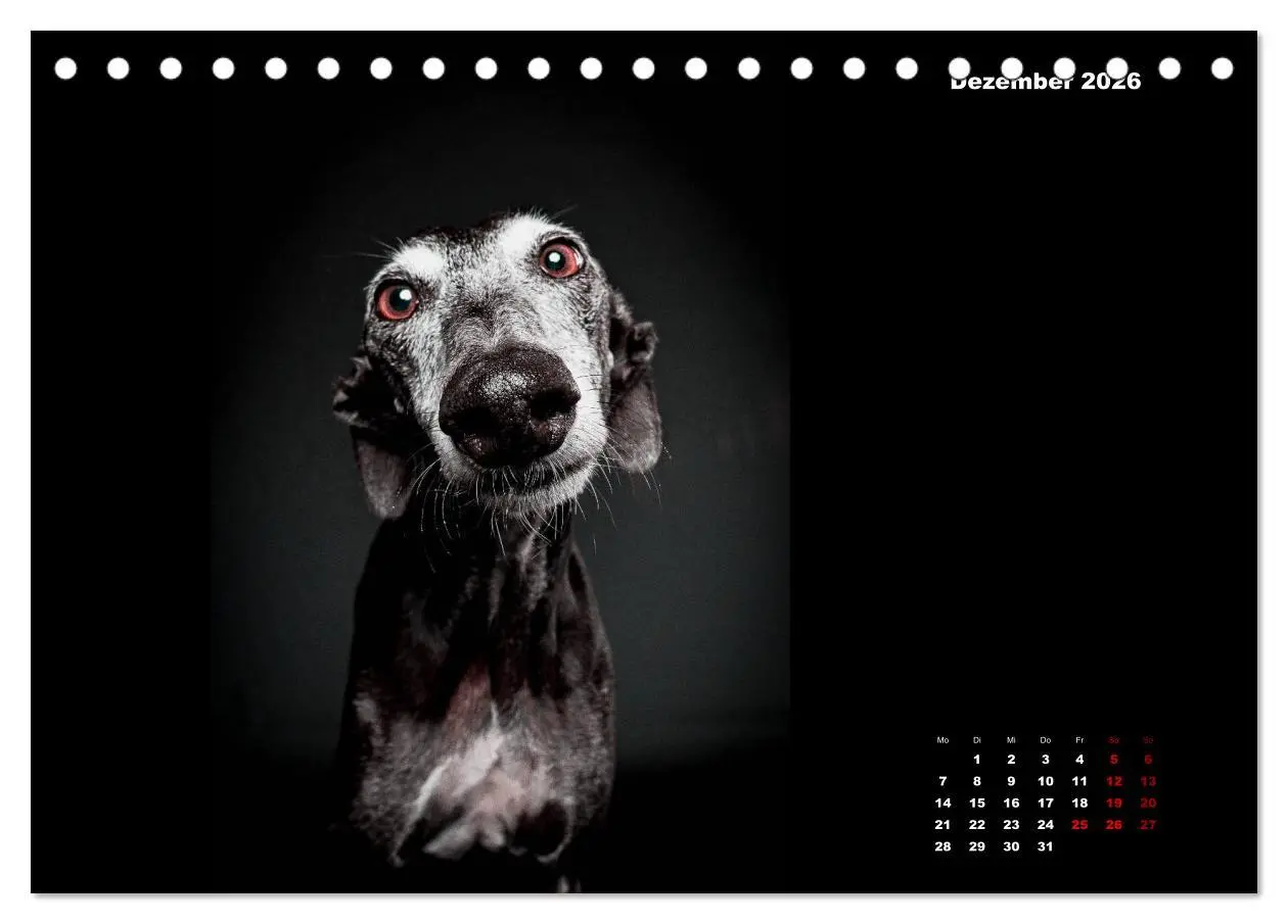 Bild: 9783457790557 | Die Stimme der Windhunde (Tischkalender 2026 DIN A5 quer), CALVENDO...
