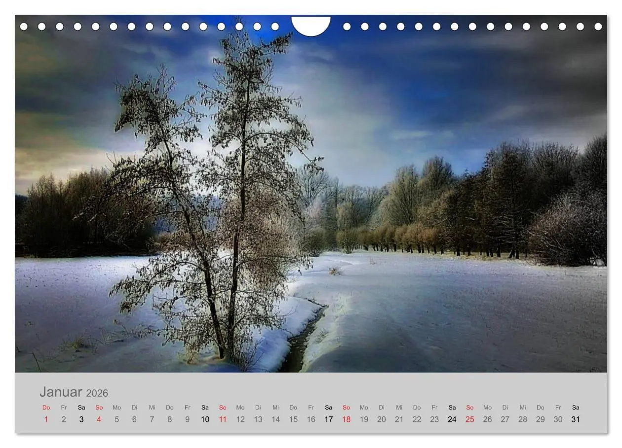 Bild: 9783516190557 | Braunschweig (Wandkalender 2026 DIN A4 quer), CALVENDO Monatskalender