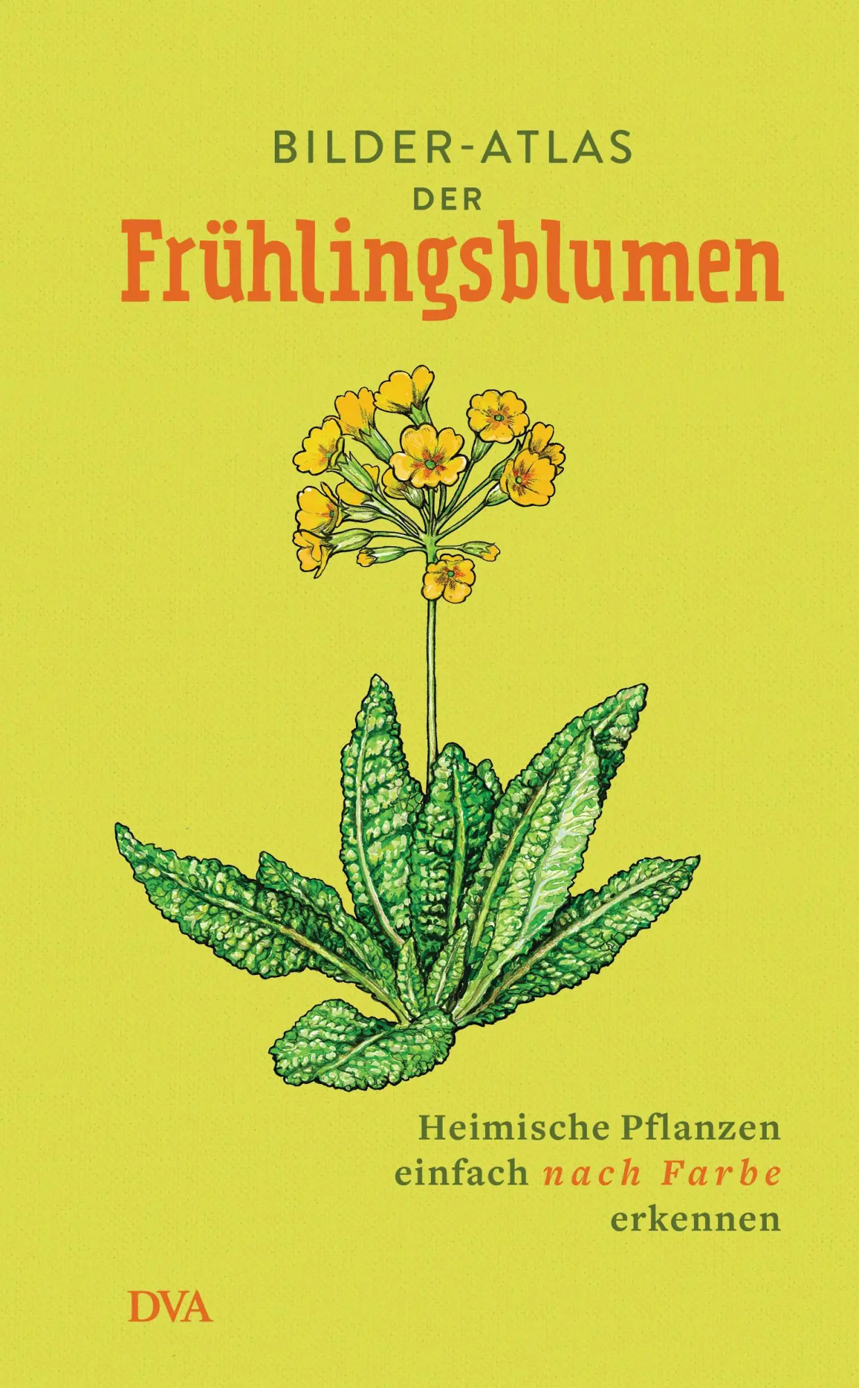 Cover: 9783421040657 | Bilder-Atlas der Frühlingsblumen | Buch | 72 S. | Deutsch | 2018 | DVA