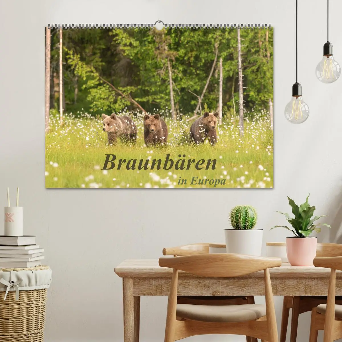 Bild: 9783457780657 | Braunbären in Europa (Wandkalender 2026 DIN A2 quer), CALVENDO...