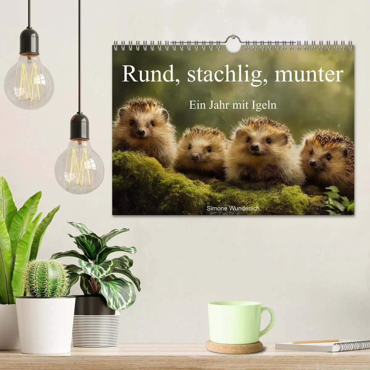 Bild: 9783516940657 | Rund, stachlig, munter - Ein Jahr mit Igeln (Wandkalender 2027 DIN...