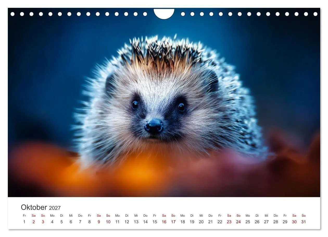 Bild: 9783516940657 | Rund, stachlig, munter - Ein Jahr mit Igeln (Wandkalender 2027 DIN...