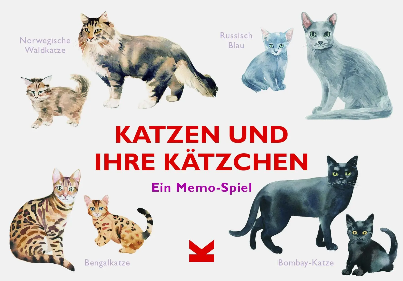 Cover: 9783962440657 | Katzen und ihre Kätzchen | Ein Memo-Spiel | Marcel George | Spiel
