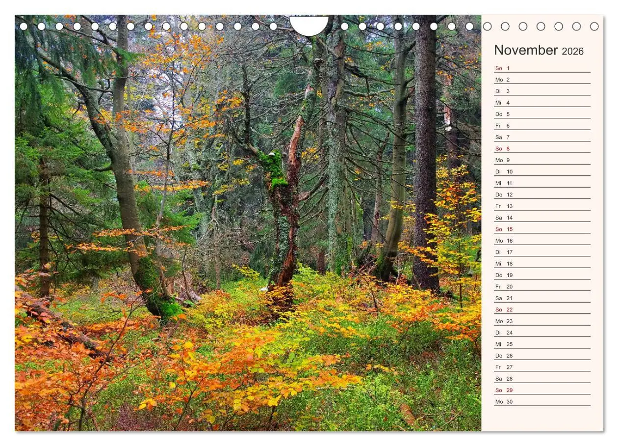 Bild: 9783457840757 | Riesengebirge - Zwischen Schlesien und Böhmen (Wandkalender 2026...