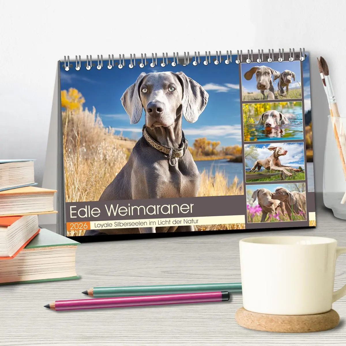 Bild: 9783457910757 | Edle Weimaraner. Loyale Silberseelen im Licht der Natur...