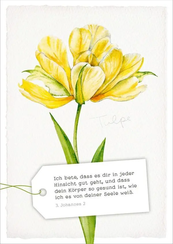 Bild: 4029856840857 | GartenGlück - Postkartenset | 18 Postkarten mit Bibelversen | Plato