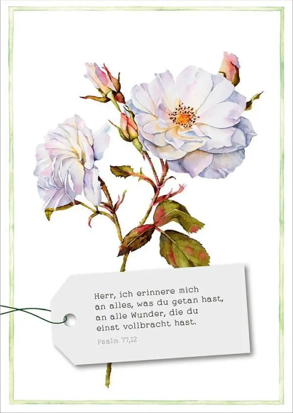 Bild: 4029856840857 | GartenGlück - Postkartenset | 18 Postkarten mit Bibelversen | Plato