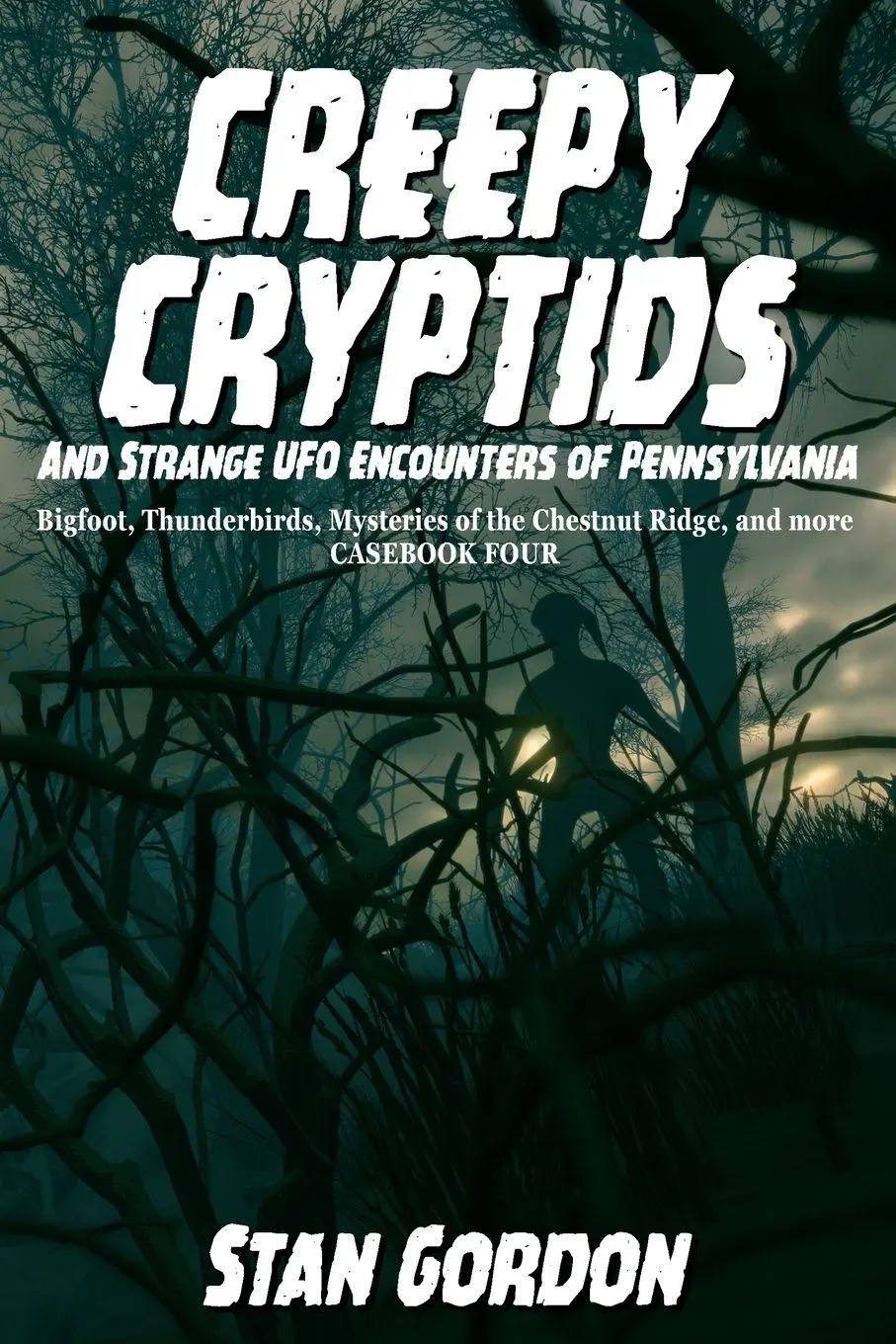 Cover: 9780966610857 | Creepy Cryptids and Strange UFO Encounters of Pennsylvania....