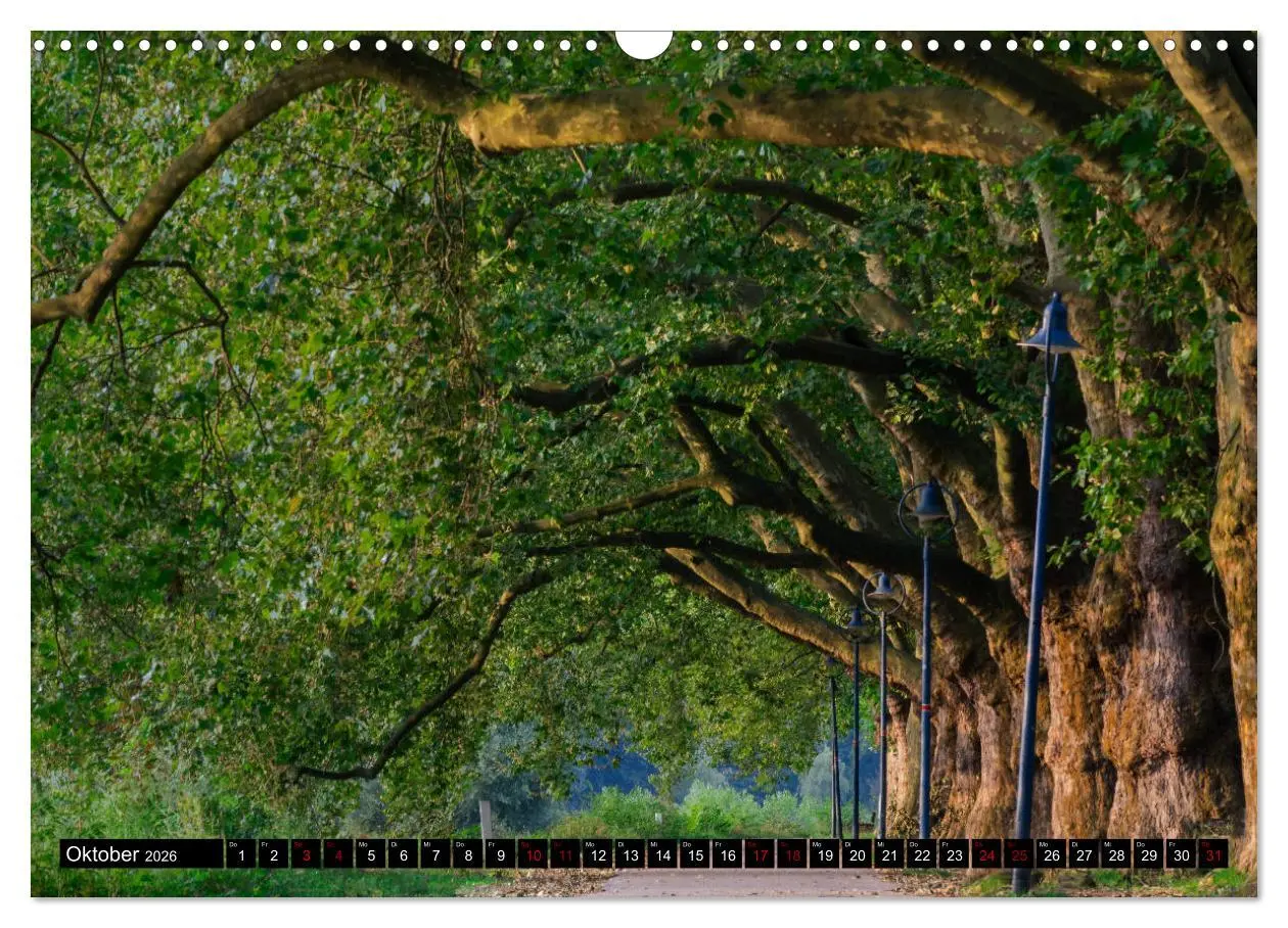 Bild: 9783457900857 | Ludwigshafen - Lebenswerte Stadt am Rhein (Wandkalender 2026 DIN A3...