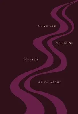 Cover: 9780226830957 | Mandible Wishbone Solvent | Asiya Wadud | Taschenbuch | Englisch