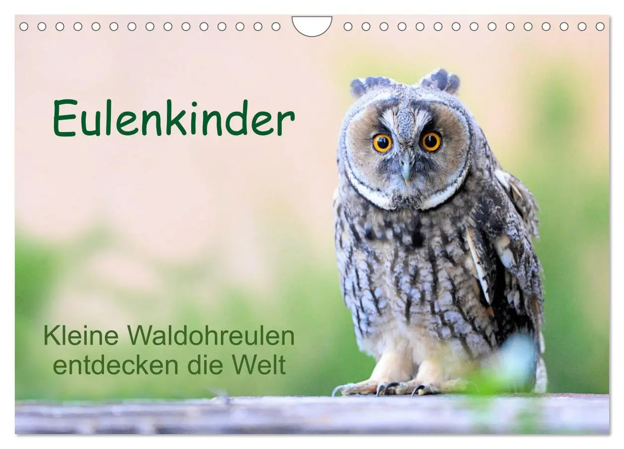 Cover: 9783435110957 | Eulenkinder - Kleine Waldohreulen entdecken die Welt (Wandkalender...