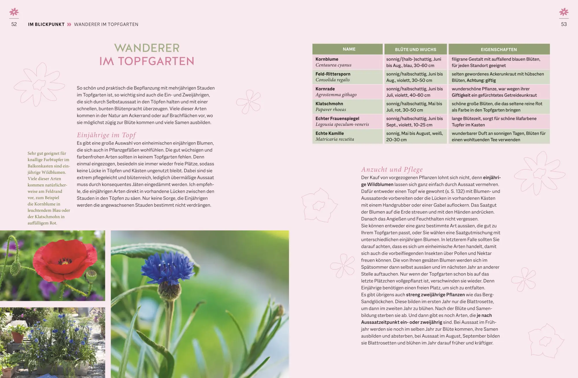 Bild: 9783833880957 | Wildblumen für Balkon und Terrasse | Nina Keller | Buch | 160 S.