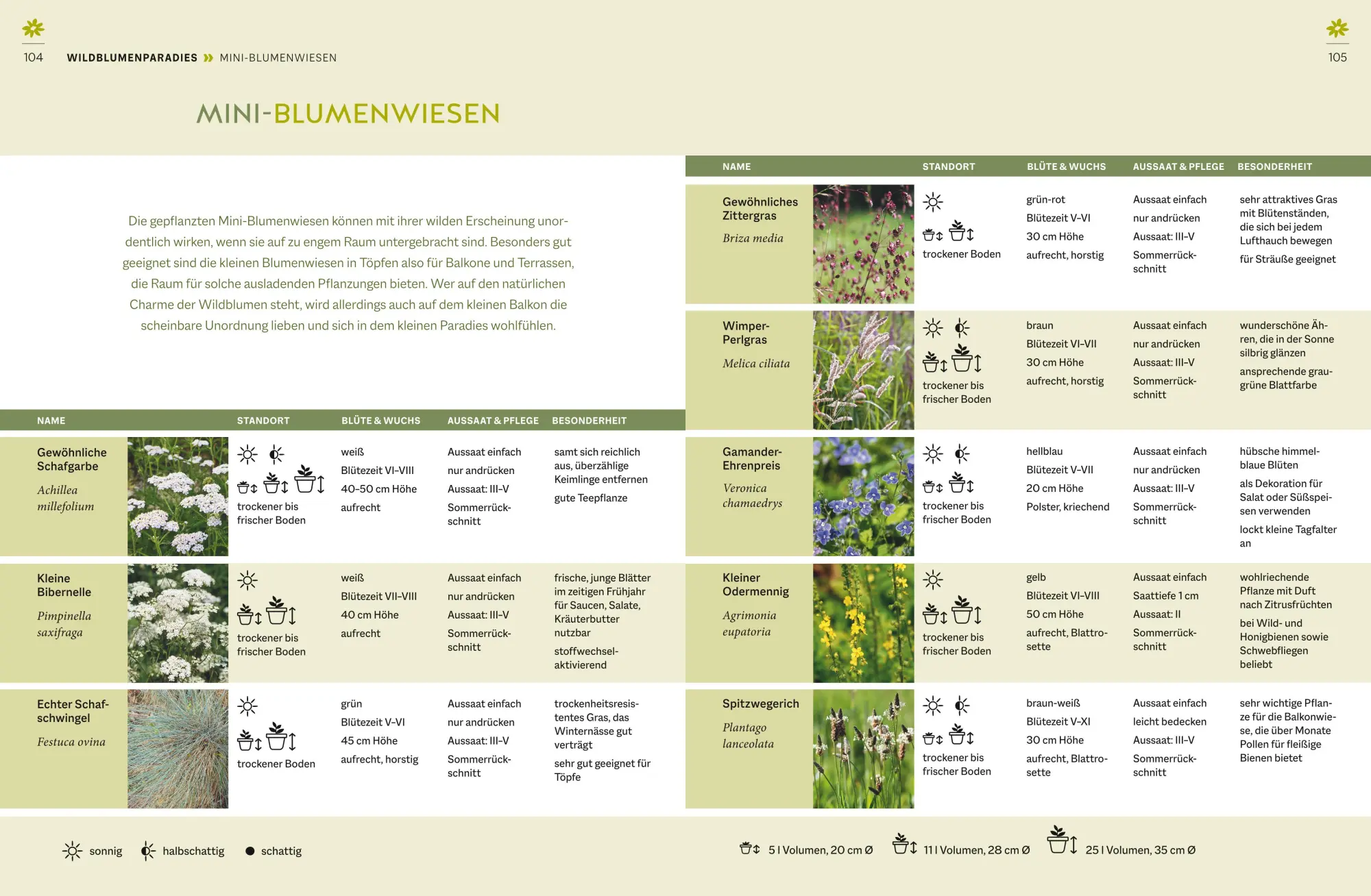Bild: 9783833880957 | Wildblumen für Balkon und Terrasse | Nina Keller | Buch | 160 S.