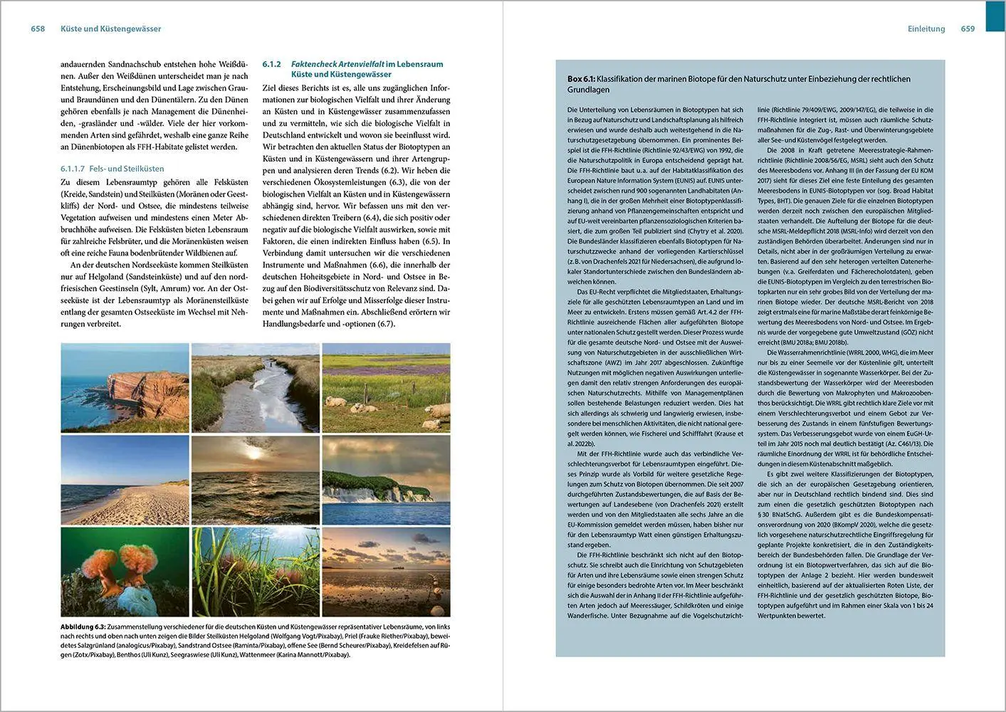 Bild: 9783987260957 | Faktencheck Artenvielfalt | Christian Wirth (u. a.) | Buch | 1256 S.