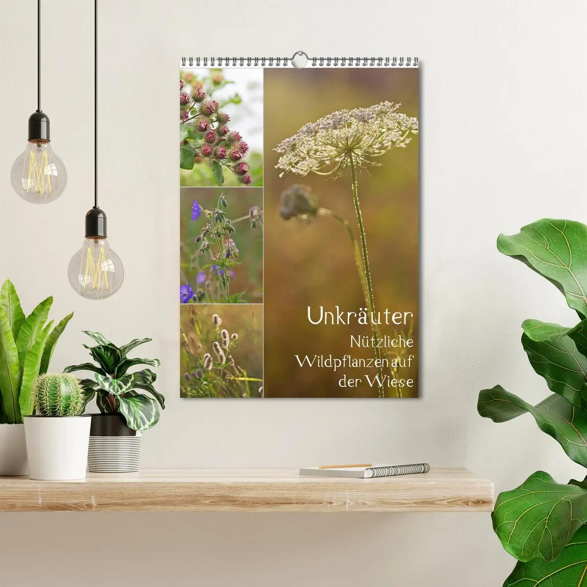 Bild: 9783516421057 | Unkräuter - Nützliche Wildpflanzen auf der Wiese (Wandkalender 2026...