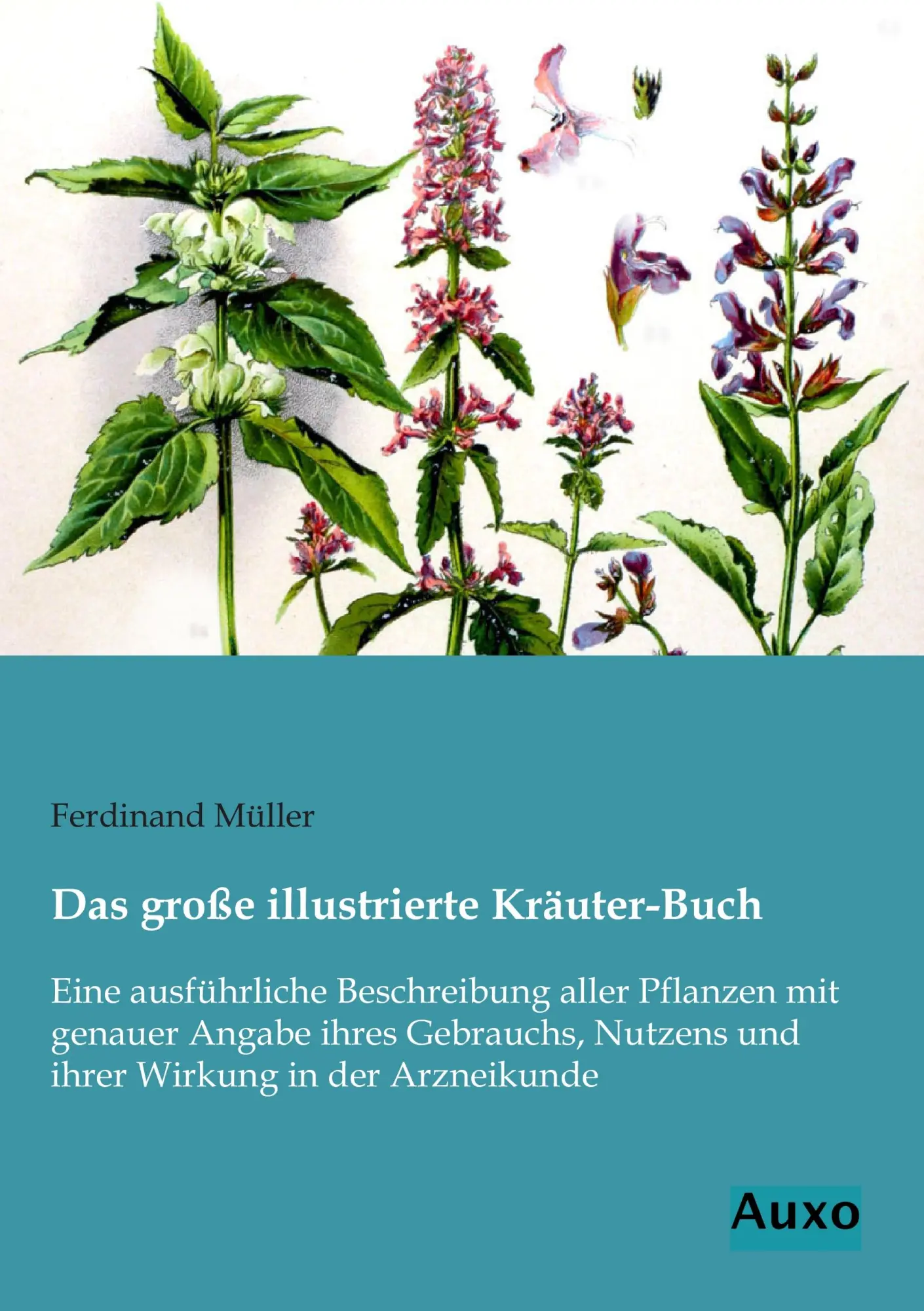 Cover: 9783956221057 | Das große illustrierte Kräuter-Buch | Ferdinand Müller | Taschenbuch