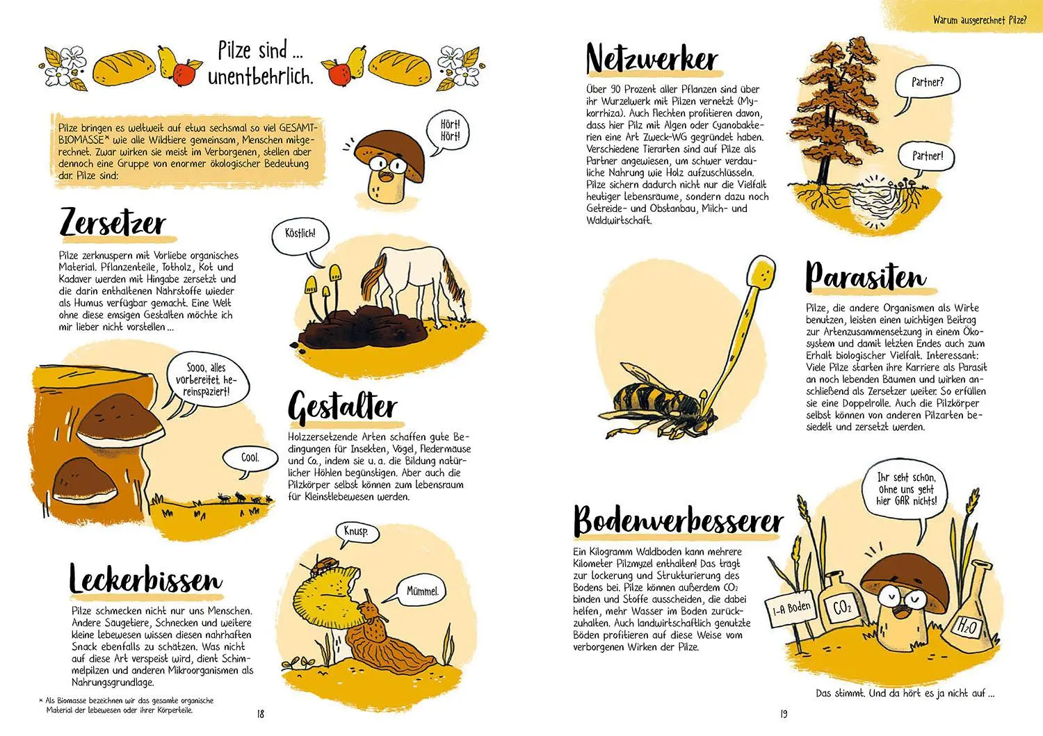 Bild: 9783440181157 | Pilze für Ahnungslose | Véro Mischitz | Taschenbuch | 128 S. | Deutsch