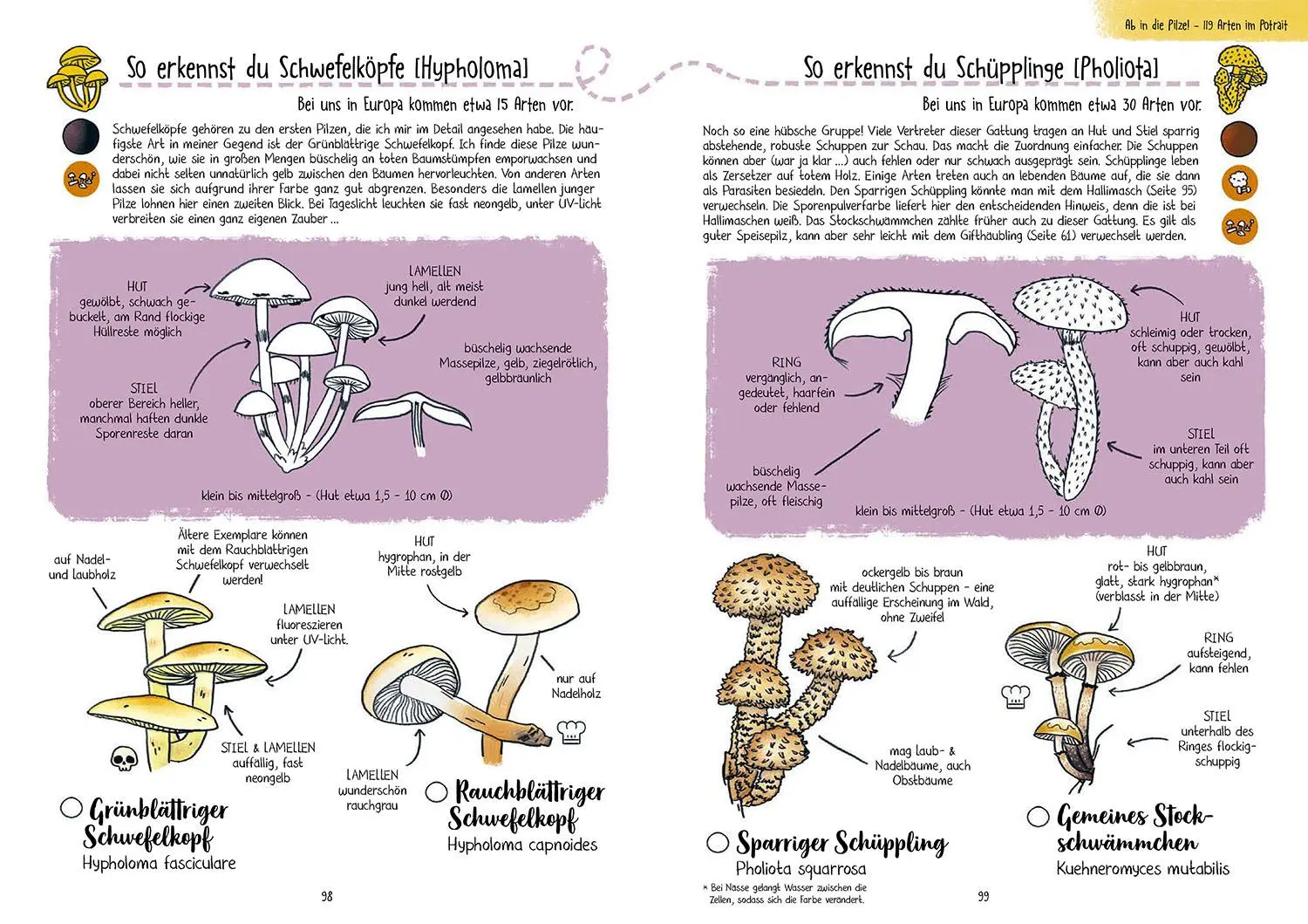 Bild: 9783440181157 | Pilze für Ahnungslose | Véro Mischitz | Taschenbuch | 128 S. | Deutsch