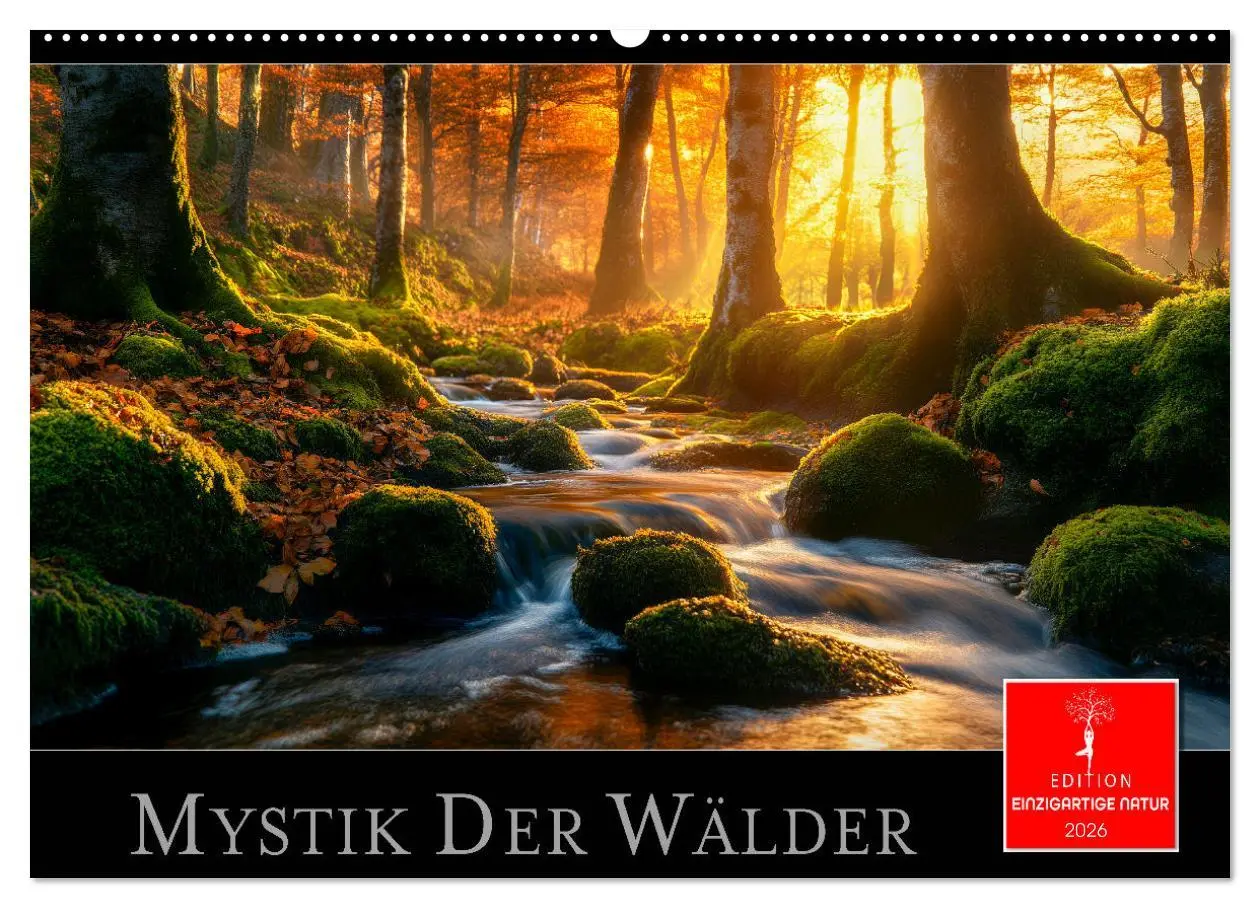 Cover: 9783457321157 | Mystik der Wälder (Wandkalender 2026 DIN A2 quer), CALVENDO...