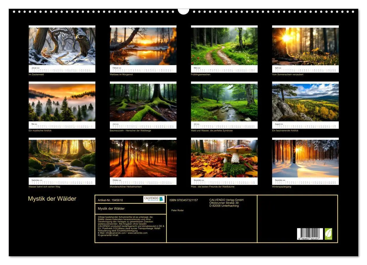 Bild: 9783457321157 | Mystik der Wälder (Wandkalender 2026 DIN A2 quer), CALVENDO...