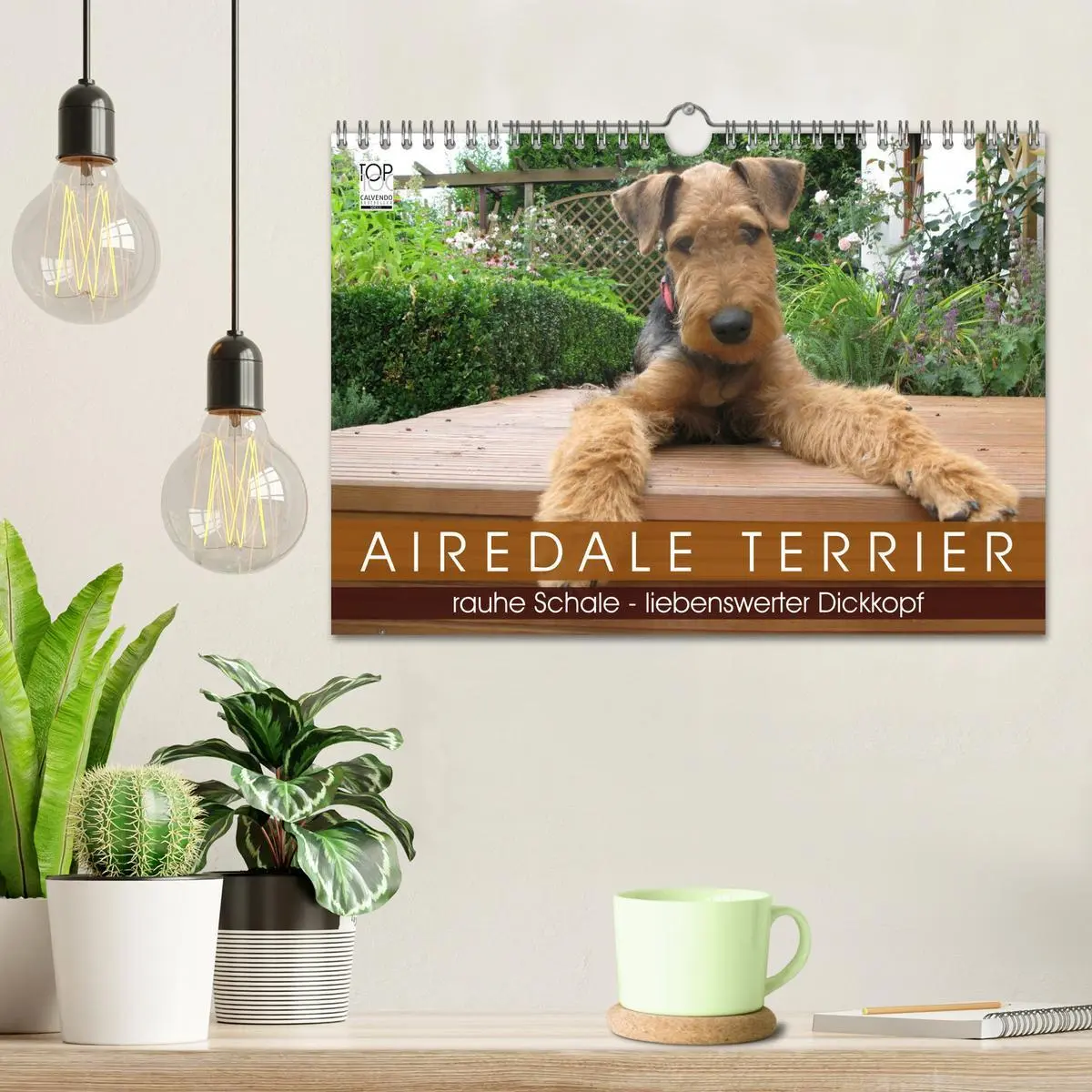 Bild: 9783516101157 | Airedale Terrier (Wandkalender 2026 DIN A4 quer), CALVENDO...