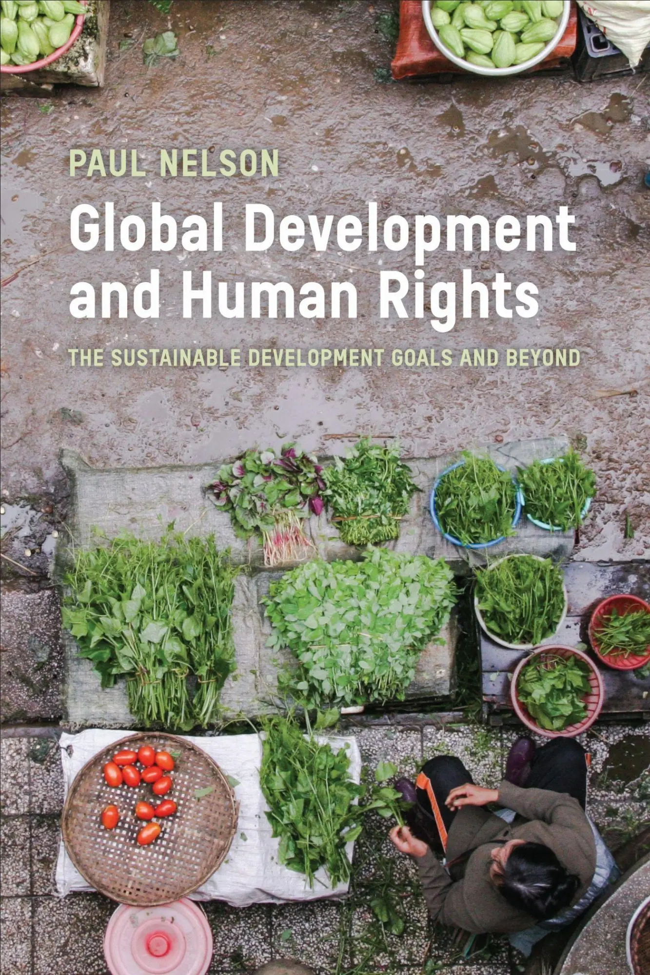 Cover: 9781487521257 | Global Development and Human Rights | Paul Nelson | Taschenbuch | 2021