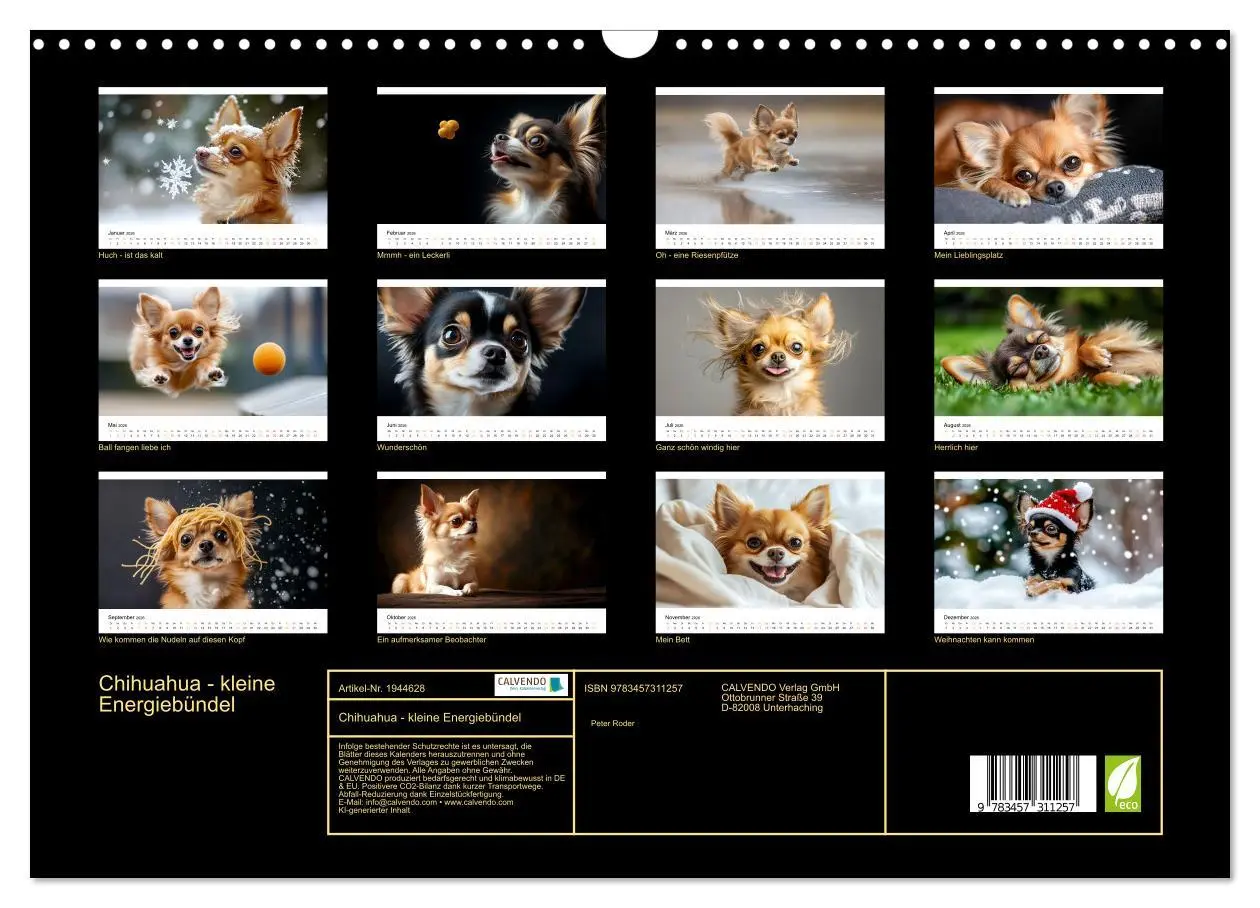 Bild: 9783457311257 | Chihuahua - kleine Energiebündel (Wandkalender 2026 DIN A3 quer),...